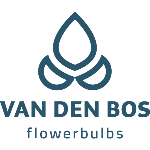 vdb-blauw