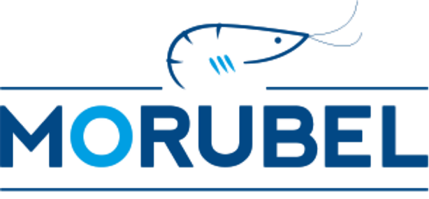 MORUBEL